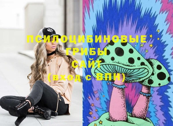 гашик Алзамай