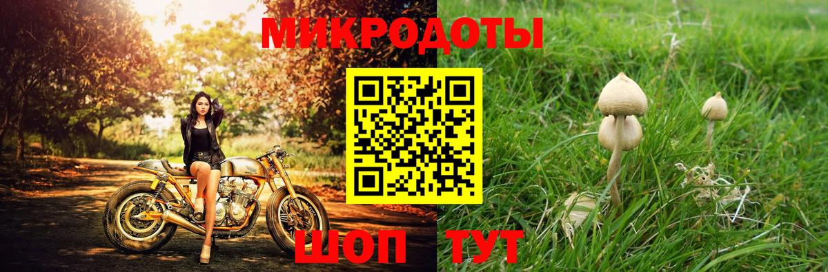 Псилоцибиновые грибы Cubensis Карабулак