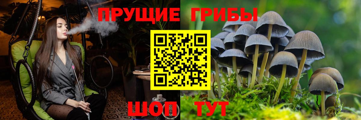 где можно купить   Вход с VPN  Галлюциногенные грибы мухоморы  Карабулак  Галлюциногенные грибы мицелий 